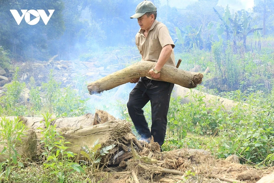 Màu xanh trở lại Làng Pèng sau cơn lũ dữ Màu xanh trở lại Làng Pèng sau cơn lũ dữ