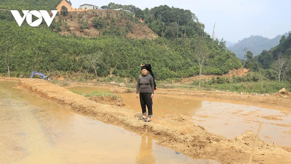 Màu xanh trở lại Làng Pèng sau cơn lũ dữ Màu xanh trở lại Làng Pèng sau cơn lũ dữ