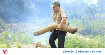 Màu xanh trở lại Làng Pèng sau cơn lũ dữ