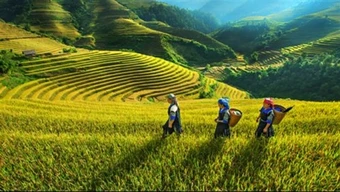 Miền Bắc nắng nhất 33 độ C, vài nơi có mưa về chiều tối và đêm