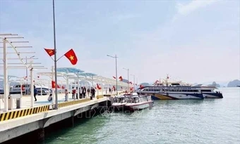 Miễn, giảm giá vé cho cư dân tuyến đảo Cô Tô, Vân Đồn khi qua bến cảng Ao Tiên