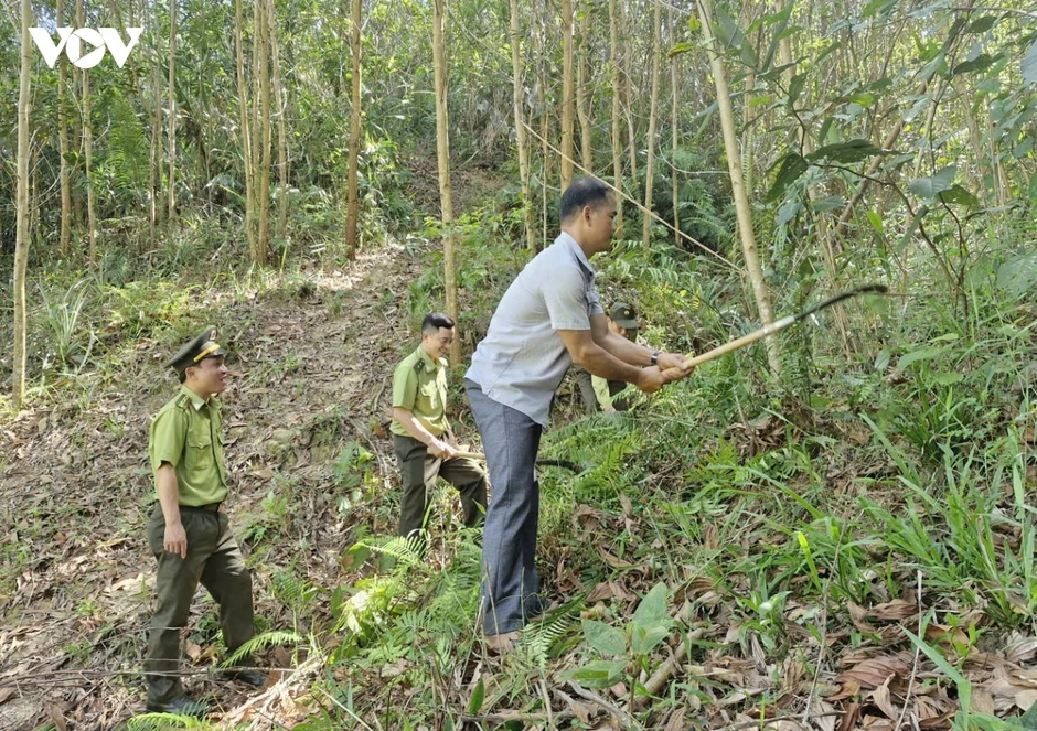 Miền núi Đà Nẵng chủ động phòng cháy rừng trong cao điểm nắng nóng Miền núi Đà Nẵng chủ động phòng cháy rừng trong cao điểm nắng nóng