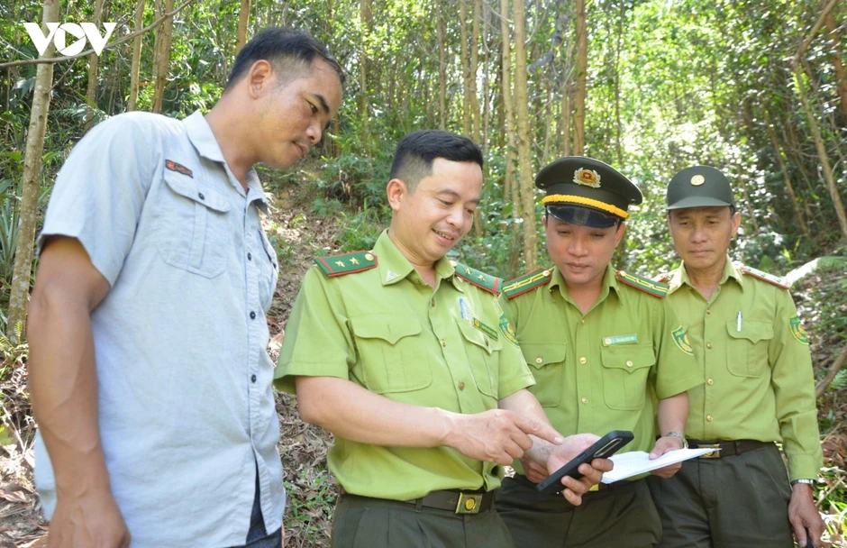 Miền núi Đà Nẵng chủ động phòng cháy rừng trong cao điểm nắng nóng Miền núi Đà Nẵng chủ động phòng cháy rừng trong cao điểm nắng nóng