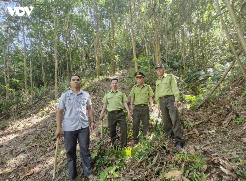Miền núi Đà Nẵng chủ động phòng cháy rừng trong cao điểm nắng nóng Miền núi Đà Nẵng chủ động phòng cháy rừng trong cao điểm nắng nóng