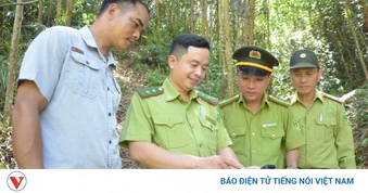Miền núi Đà Nẵng chủ động phòng cháy rừng trong cao điểm nắng nóng