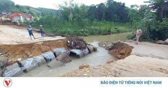 Mở đường tạm băng núi để hơn 2.200 cử tri vùng núi Đà Nẵng đi bầu cử