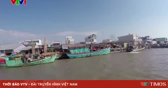 Mô hình tổ đội đoàn kết giúp ngư dân an toàn vươn khơi mùa mưa bão