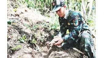 Mở lối đón đồng đội trở về