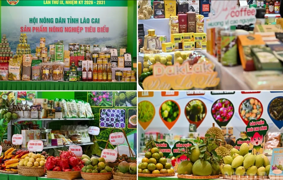 Mở mang tầm nhìn sản xuất xanh, nâng giá trị nông sản Mở mang tầm nhìn sản xuất xanh, nâng giá trị nông sản