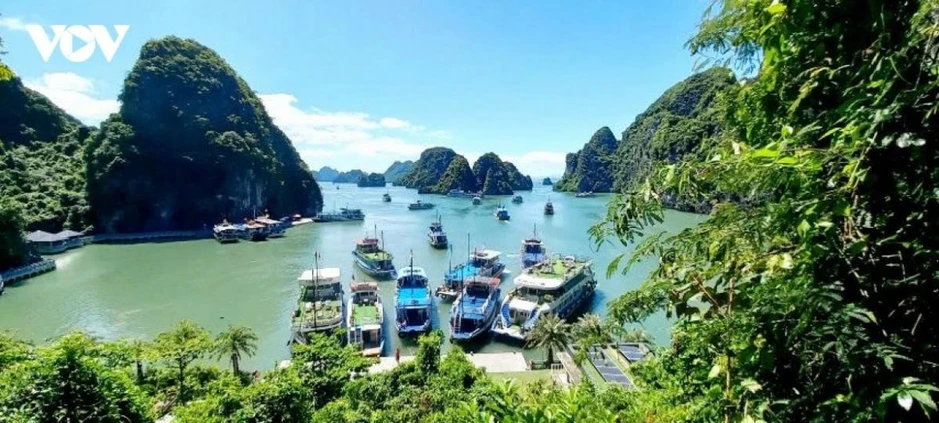 Mỗi địa điểm sẽ có mã định danh 12 chữ số hiển thị trên VNeID Mỗi địa điểm sẽ có mã định danh 12 chữ số hiển thị trên VNeID
