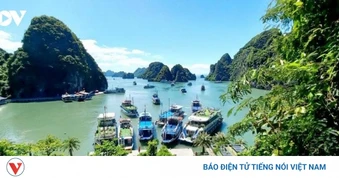 Mỗi địa điểm sẽ có mã định danh 12 chữ số hiển thị trên VNeID