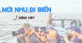Mới như... đi biển