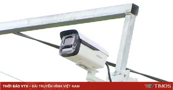 Một chủ xe ô tô bị phạt gần 500 triệu đồng vì 96 lần vi phạm giao thông