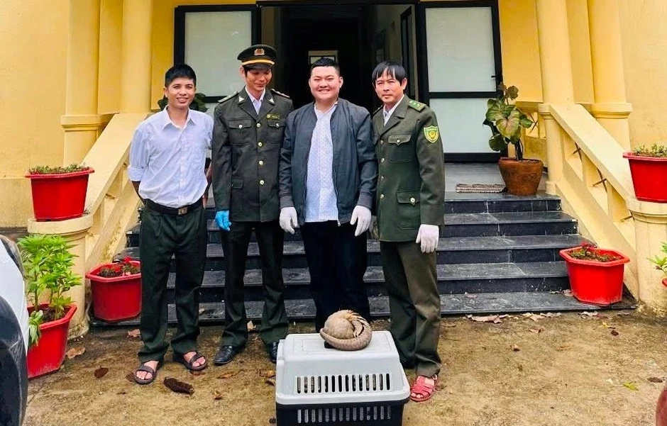 Một cuộc gọi giúp kiểm lâm cứu con vật quý hiếm Một cuộc gọi giúp kiểm lâm cứu con vật quý hiếm