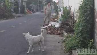 Một trường hợp ở Đồng Tháp tử vong do bệnh dại