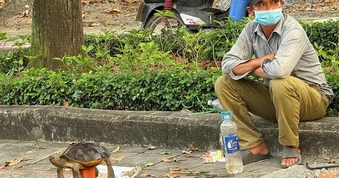 Mua bán rùa để "phóng sinh" - dấu hiệu phạm luật!