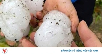 Mưa đá, dông lốc gây thiệt hại tại nhiều địa phương ở Nghệ An