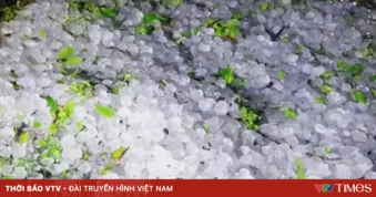 Mưa đá, dông lốc làm hàng trăm nhà dân vùng núi Bắc Bộ hư hỏng, cây trồng thiệt hại