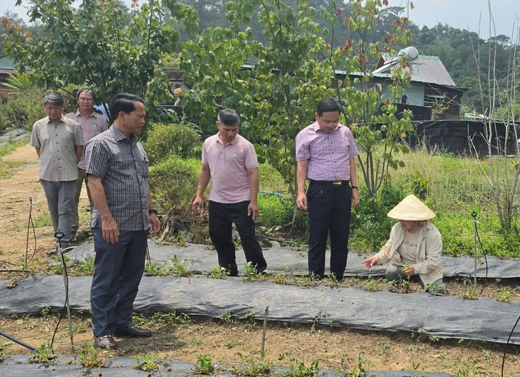 Mưa đá giội xuống Tu Mơ Rông, người dân không dám ra ngoài