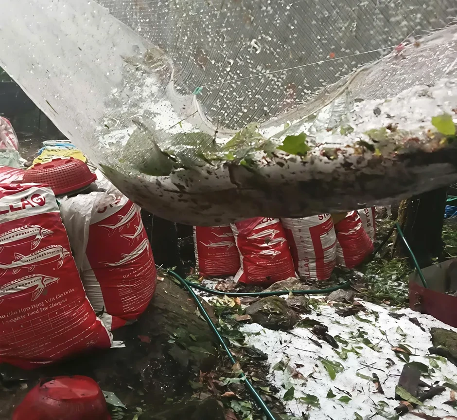 Mưa đá, giông lốc gây thiệt hại nhiều nơi
