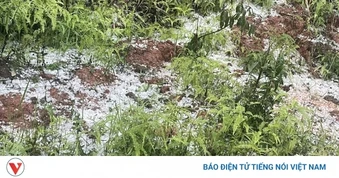 Mưa đá kèm dông lốc gây thiệt hại tại tỉnh Điện Biên