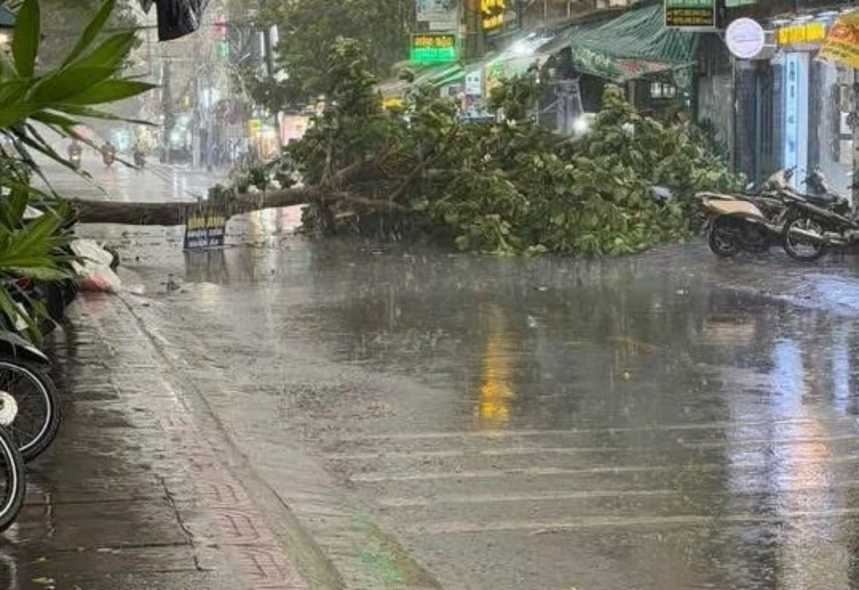 Mưa đá kèm gió giật mạnh xuất hiện bất ngờ ở Lâm Đồng Mưa đá kèm gió giật mạnh xuất hiện bất ngờ ở Lâm Đồng
