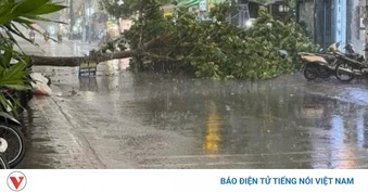 Mưa đá kèm gió giật mạnh xuất hiện bất ngờ ở Lâm Đồng
