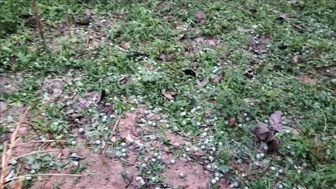 Mưa đá khiến 4 người bị thương tại xã Bắc Hà, Lào Cai