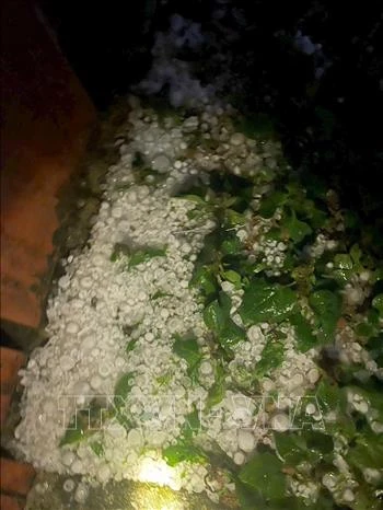 Mưa đá khiến 4 người bị thương tại xã Bắc Hà, Lào Cai