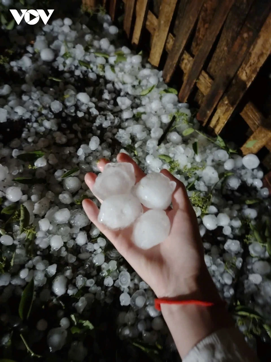 Mưa đá lớn bất ngờ trút xuống Lào Cai, làm 4 người bị thương Mưa đá lớn bất ngờ trút xuống Lào Cai, làm 4 người bị thương