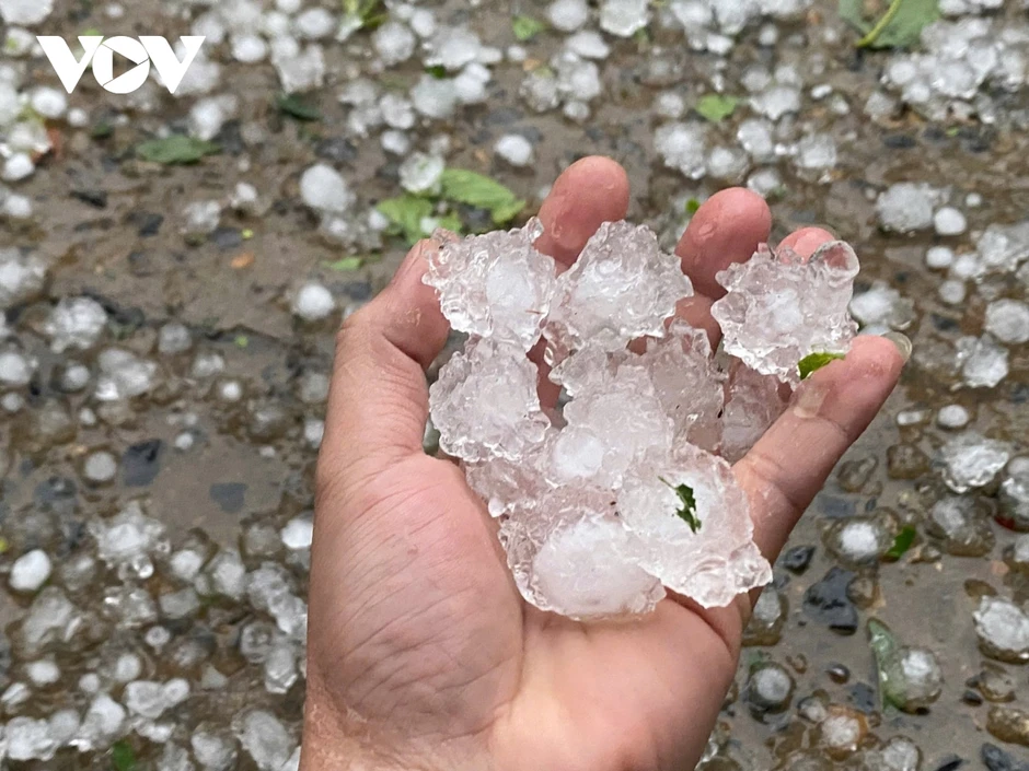 Mưa đá lớn gây thiệt hại tại một số xã vùng cao của Lào Cai Mưa đá lớn gây thiệt hại tại một số xã vùng cao của Lào Cai