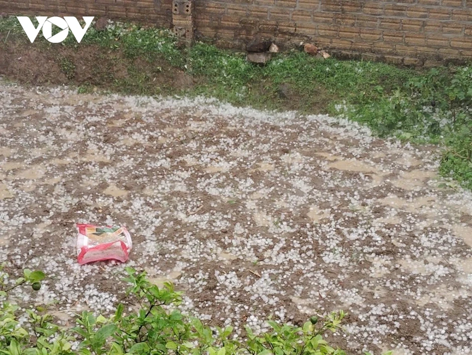 Mưa đá lớn gây thiệt hại tại một số xã vùng cao của Lào Cai Mưa đá lớn gây thiệt hại tại một số xã vùng cao của Lào Cai