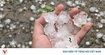 Mưa đá lớn gây thiệt hại tại một số xã vùng cao của Lào Cai