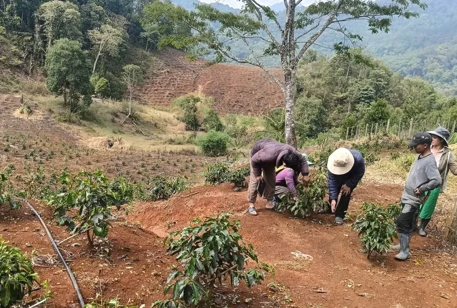 Mưa đá ở Lào Cai, Quảng Ngãi