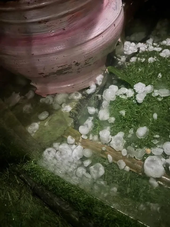Mưa đá ở Lào Cai, Quảng Ngãi