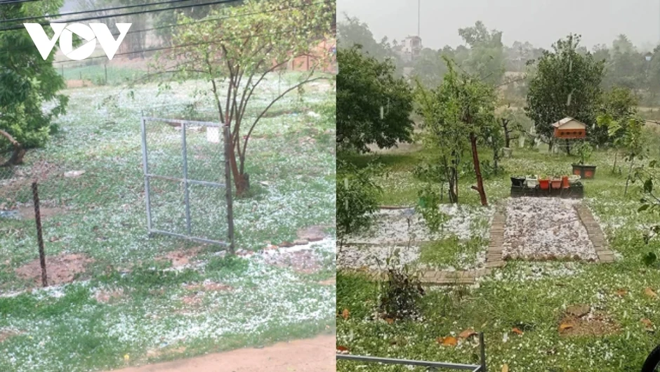 Mưa đá phủ trắng núi đồi kèm giông lốc tại phía Nam tỉnh Điện Biên Mưa đá phủ trắng núi đồi kèm giông lốc tại phía Nam tỉnh Điện Biên