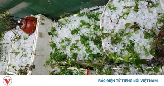 Mưa đá phủ trắng núi đồi kèm giông lốc tại phía Nam tỉnh Điện Biên