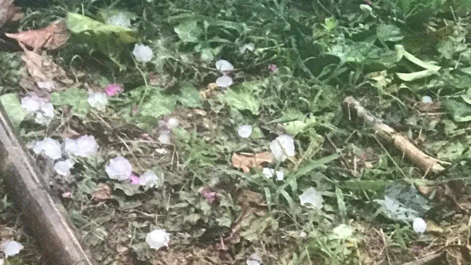 Mưa đá to bằng quả trứng gà ở miền núi Nghệ An Mưa đá to bằng quả trứng gà ở miền núi Nghệ An