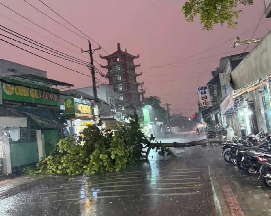 Mưa dông làm một nhân viên UBND phường ở Lâm Đồng bị thương Mưa dông làm một nhân viên UBND phường ở Lâm Đồng bị thương