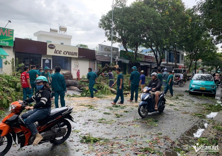 Mưa gió quật ngã nhiều cây xanh, đè trúng ô tô ở TP.HCM Mưa gió quật ngã nhiều cây xanh, đè trúng ô tô ở TP.HCM
