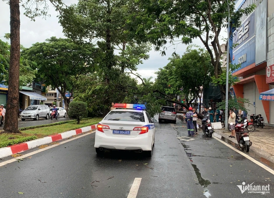 Mưa gió quật ngã nhiều cây xanh, đè trúng ô tô ở TP.HCM Mưa gió quật ngã nhiều cây xanh, đè trúng ô tô ở TP.HCM