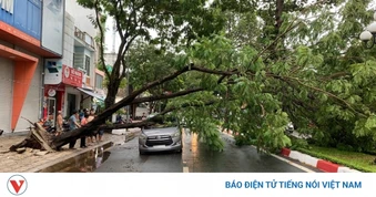 Mưa gió quật ngã nhiều cây xanh, đè trúng ô tô ở TP.HCM