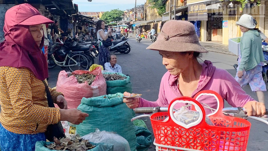 Mùa lá mồng 5 về giữa góc chợ phố cổ Hội An Mùa lá mồng 5 về giữa góc chợ phố cổ Hội An
