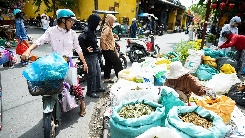 Mùa lá mồng 5 về giữa góc chợ phố cổ Hội An Mùa lá mồng 5 về giữa góc chợ phố cổ Hội An
