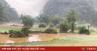 Mưa lớn, dông lốc tại nhiều địa phương gây thiệt hại ước tính hơn 10 tỷ đồng