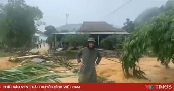 Mưa lớn gây sạt lở, ngập úng, chia cắt nhiều nơi ở Tuyên Quang, Lào Cai