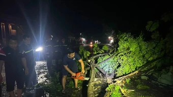 Mưa lớn kèm dông, lốc khiến 45 ngôi nhà bị thiệt hại tại Lào Cai
