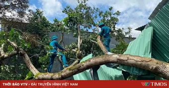 Mưa lớn kèm dông lốc làm 5 căn nhà ở Đồng Nai bị tốc mái, hư hỏng