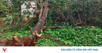 Mưa lớn kèm dông lốc ở Đồng Nai khiến 1 người tử vong, 2 căn nhà bị tốc mái