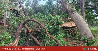 Mưa lớn kèm lốc xoáy gây nhiều thiệt hại tại Đồng Nai